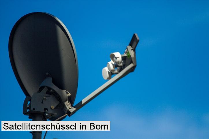 Satellitenschüssel in Born